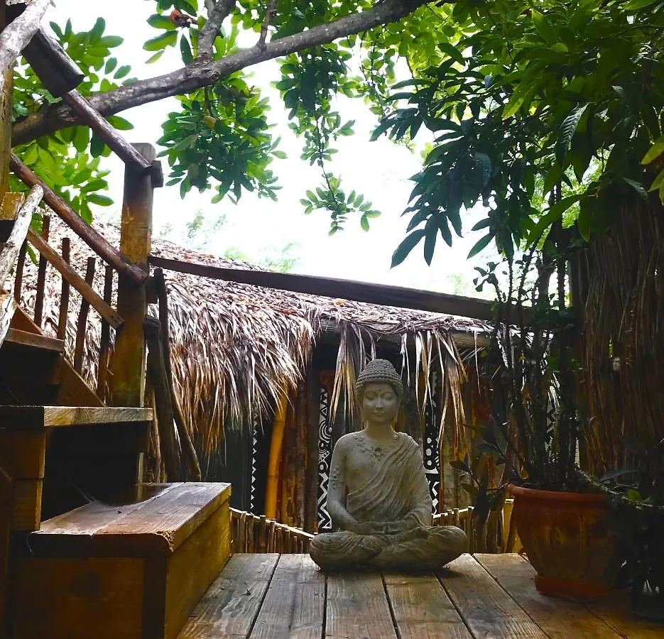 Moringa Ingadi Villa Treasure Beach Lodge