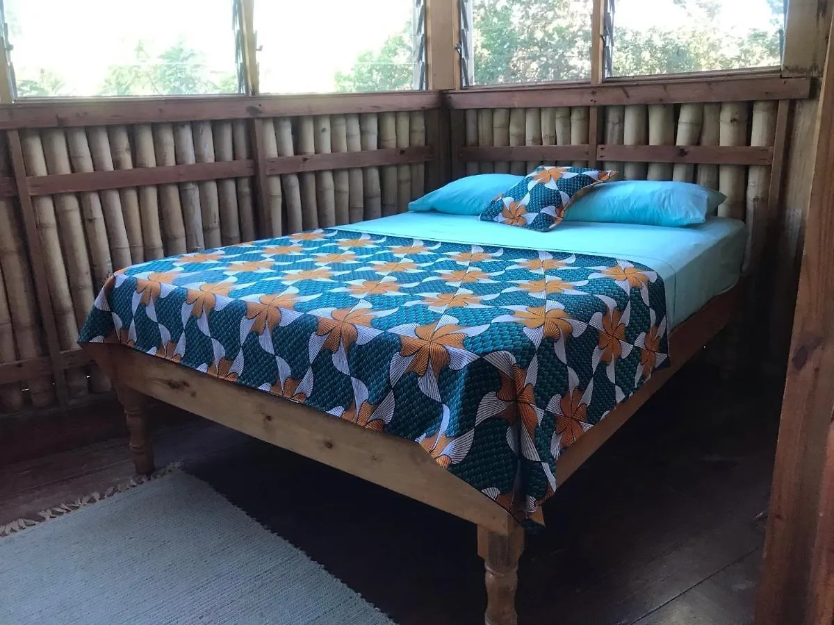 Moringa Ingadi Villa Treasure Beach