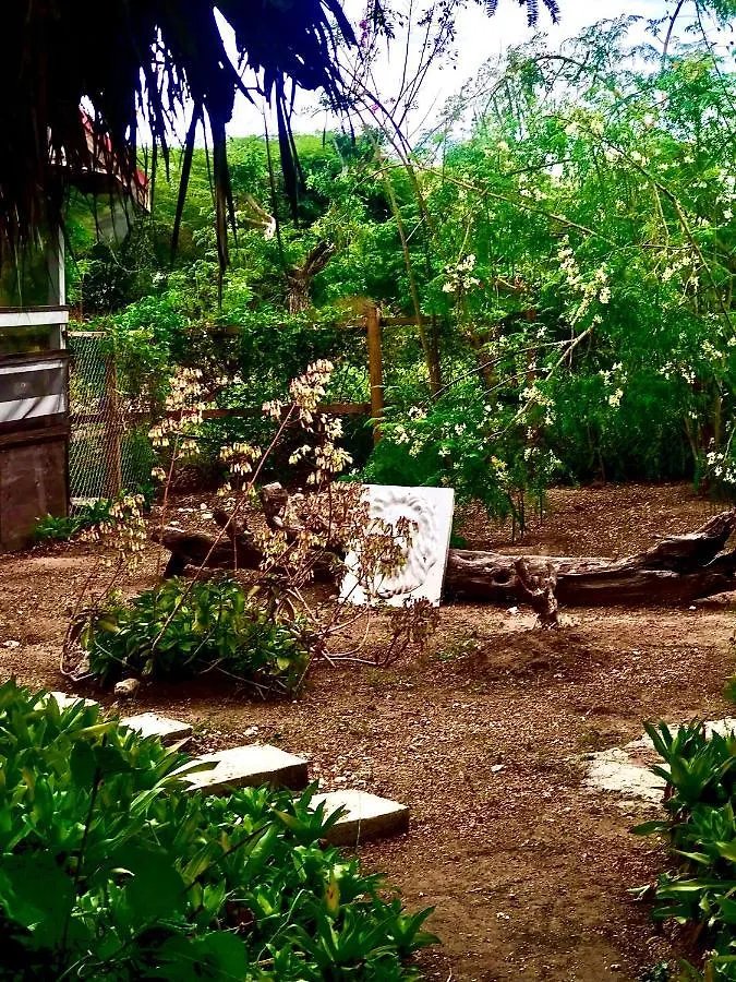 Moringa Ingadi Villa Treasure Beach Jamaica